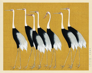 Framed 1 Panel - Japanese red crown crane by Ogata Korin