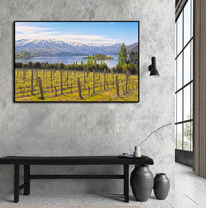 Framed 1 Panel - Vineyard on The Lake - New Zealand