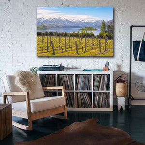 Framed 1 Panel - Vineyard on The Lake - New Zealand