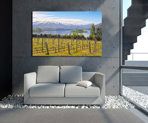 Framed 1 Panel - Vineyard on The Lake - New Zealand