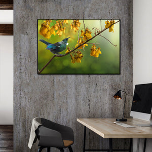 Framed 1 Panel - Tui with Kowhai Tree Flower