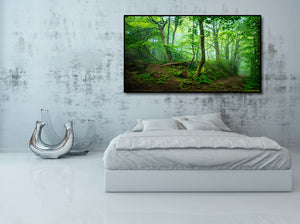 Framed 1 Panel - Forest