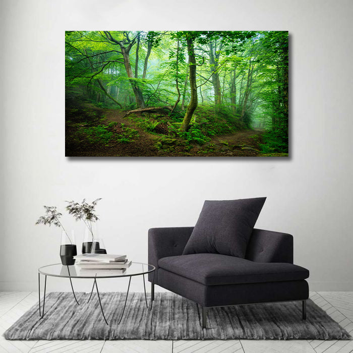 Framed 1 Panel - Forest