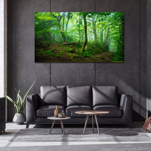 Framed 1 Panel - Forest