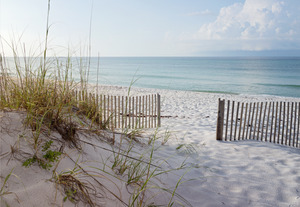 Framed 1 Panel - Beautiful Beach at Sunrise