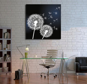 Framed 1 Panel - Dandelion Flower