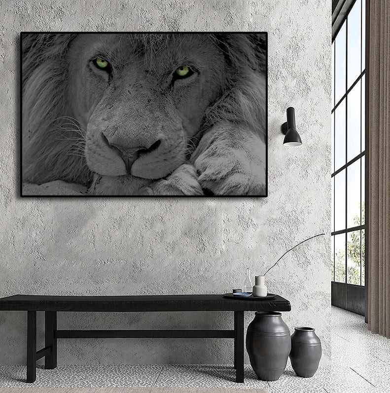 Framed 1 Panel - Lion