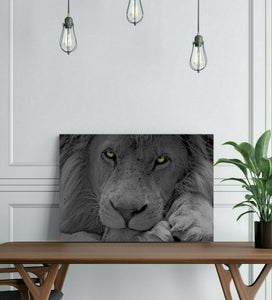 Framed 1 Panel - Lion