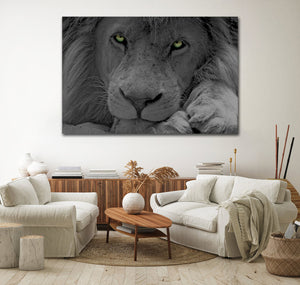 Framed 1 Panel - Lion