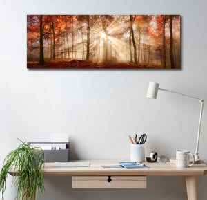 Framed 1 Panel - Rays of Sunlight in a Misty Autumn Forest