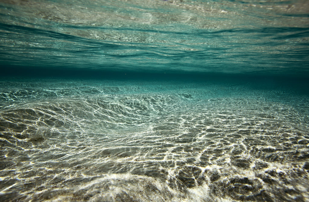 Framed 1 Panel - Tropical Beach Under Water