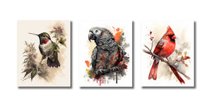 Framed 3 Panels - Hummingbirds, African Grey Gyotaku, Northern Cardinal