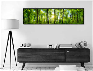 Framed 1 Panel - Extra Wide Woodlands Panorama with Rays of Sunlight