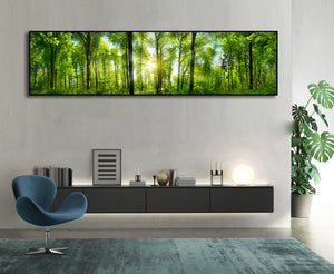 Framed 1 Panel - Extra Wide Woodlands Panorama with Rays of Sunlight