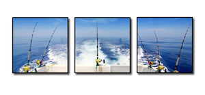 Framed 3 Panels - Fishing