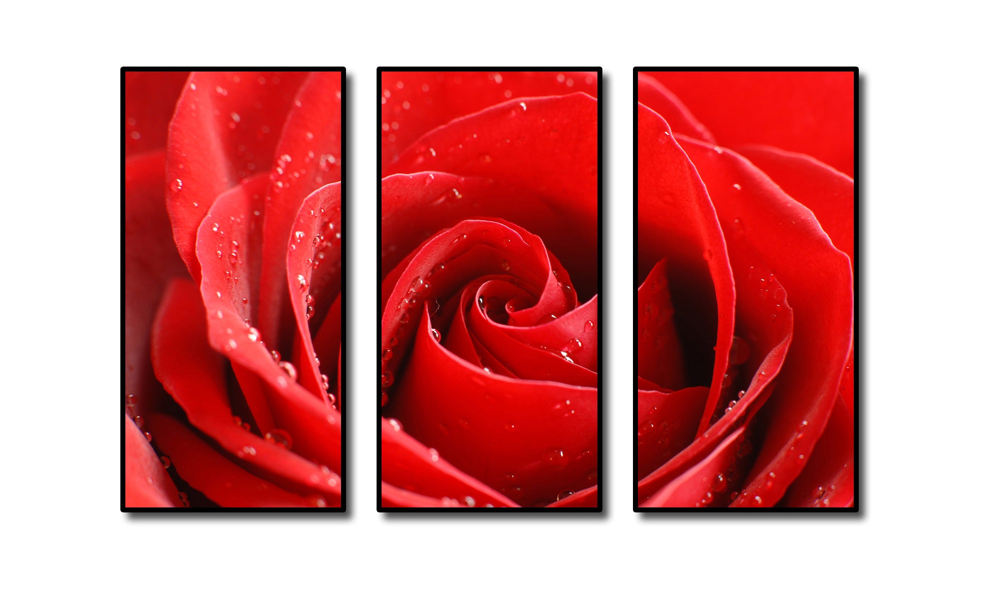 Framed 3 Panels - Rose