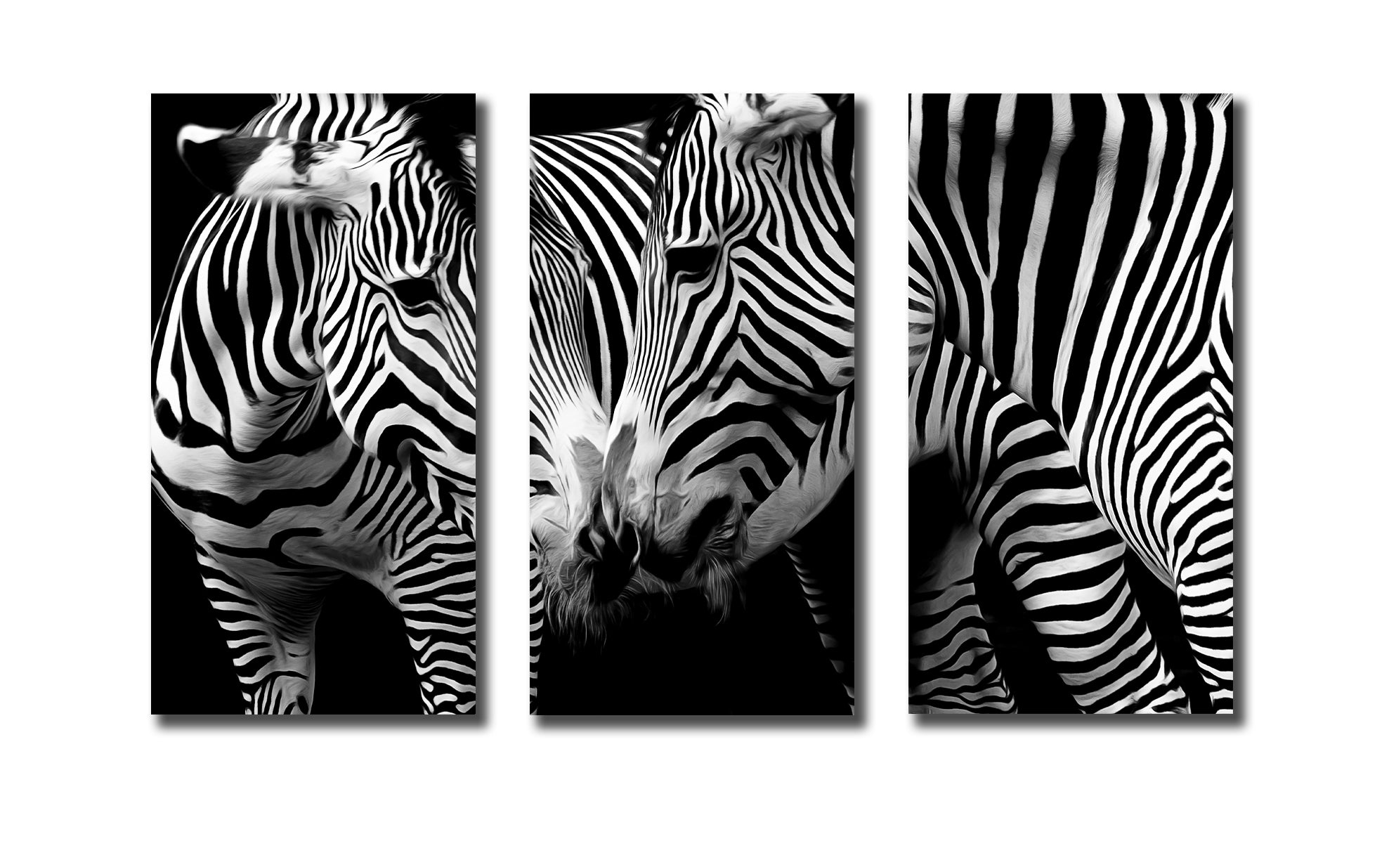 Framed 3 Panels - Zebras