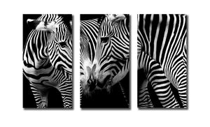 Framed 3 Panels - Zebras