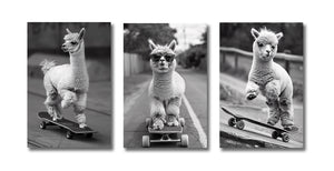 Framed 3 Panels - Alpaca Skateboarding