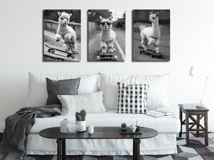 Framed 3 Panels - Alpaca Skateboarding