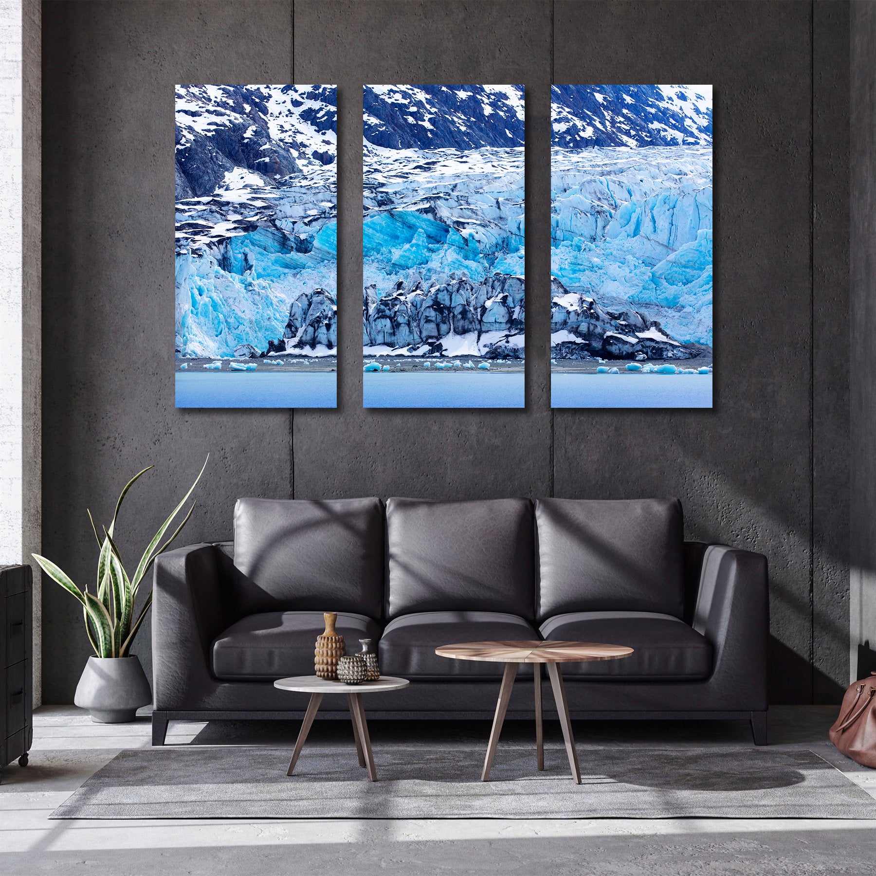 Framed 3 Panels - World Natural Heritage - Alaska Glacier Bay