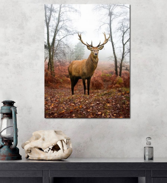 Framed 1 Panel - Deer