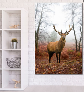 Framed 1 Panel - Deer