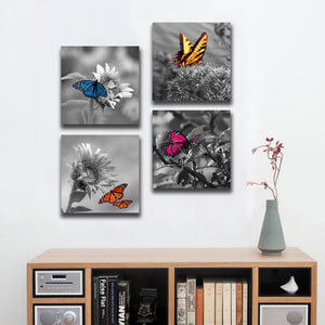 Framed 4 Panels - Butterfly