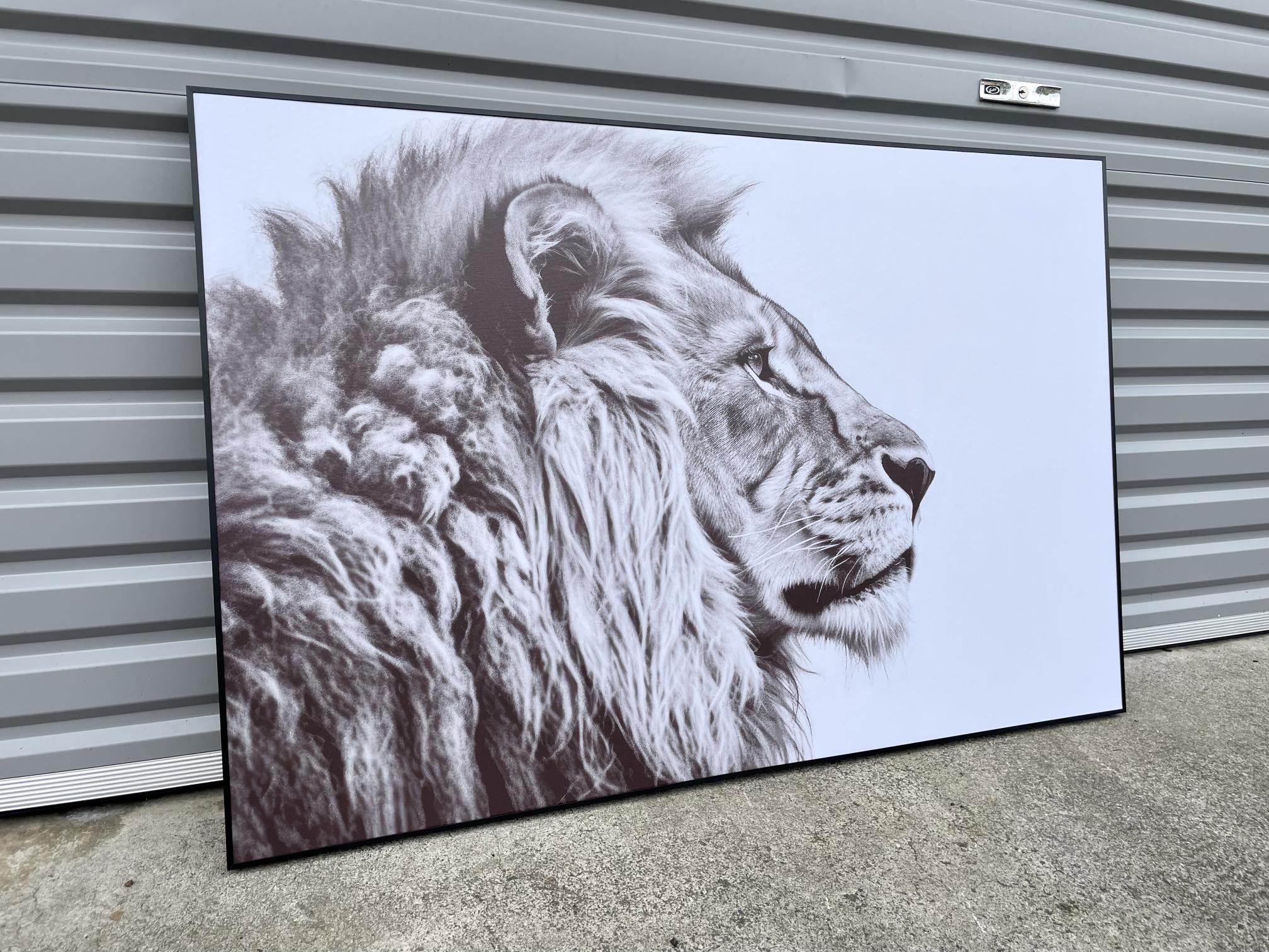 Framed 1 Panel - Finished Products - Lion