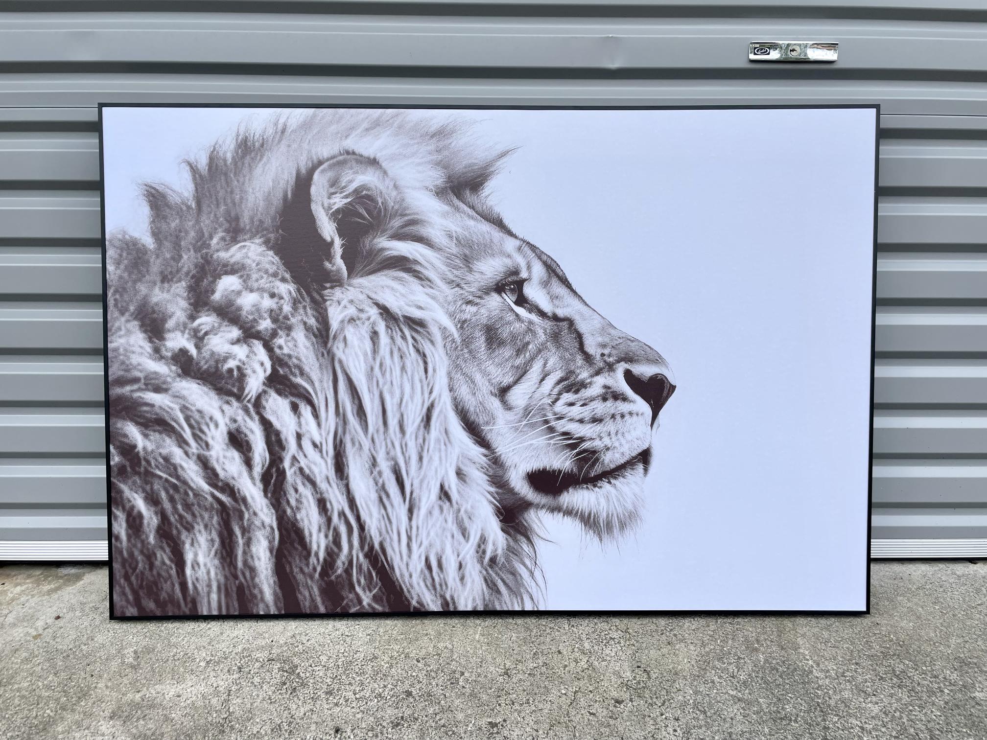 Framed 1 Panel - Finished Products - Lion