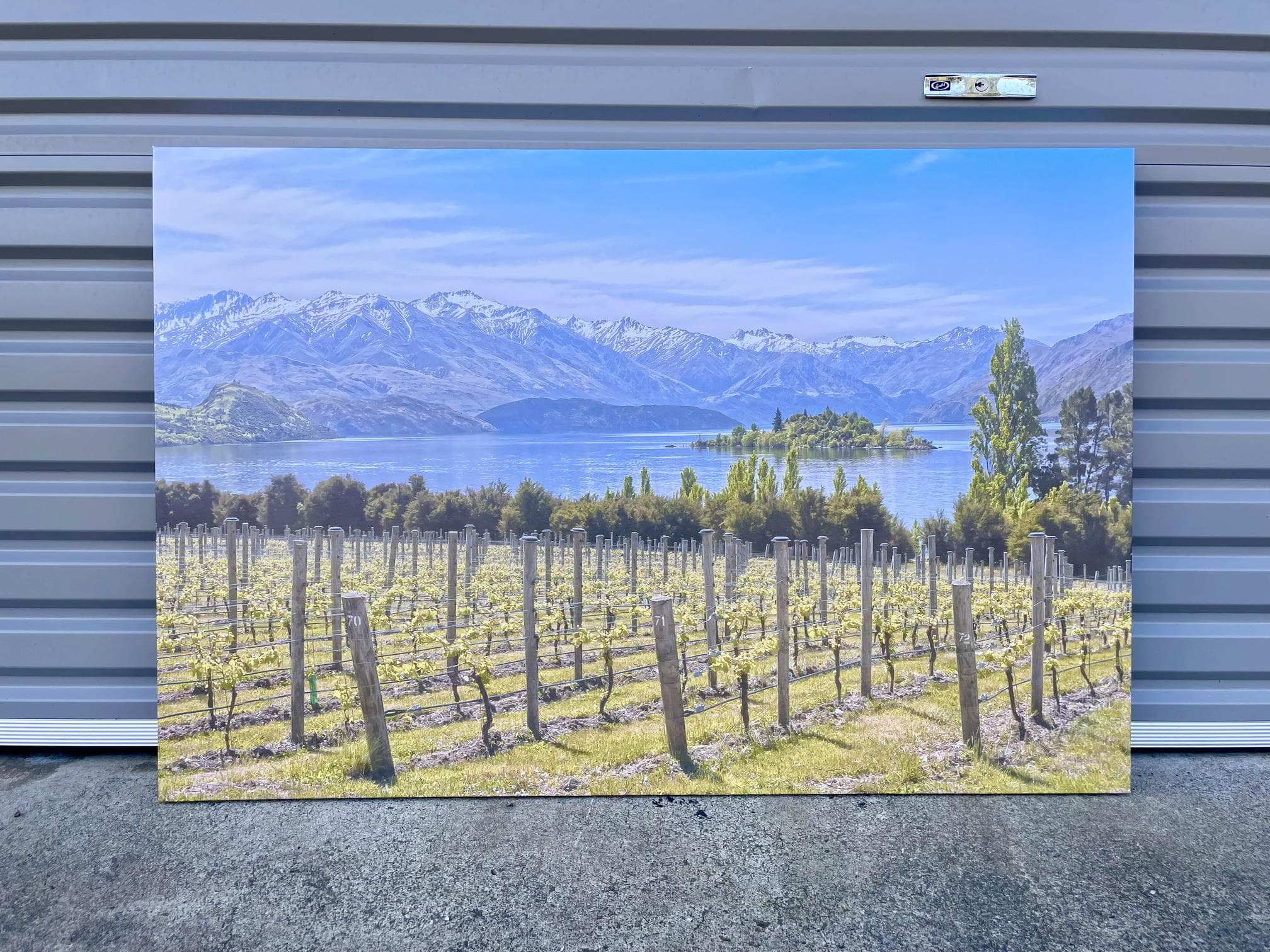 Framed 1 Panel - Finished Products - Vineyard on The Lake - New Zealand