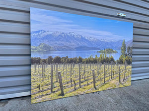 Framed 1 Panel - Finished Products - Vineyard on The Lake - New Zealand