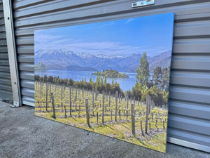 Framed 1 Panel - Finished Products - Vineyard on The Lake - New Zealand