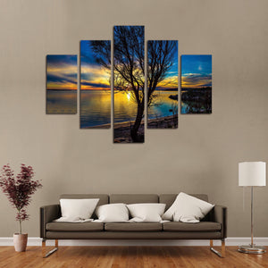 Framed 5 Panels - Landscape