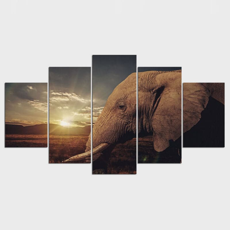 Framed 5 Panels - Elephant