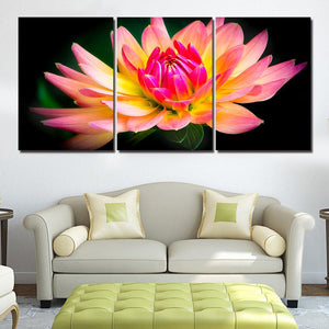 Framed 3 Panels - Lotus