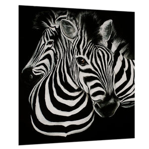 Framed 1 Panel - Zebras