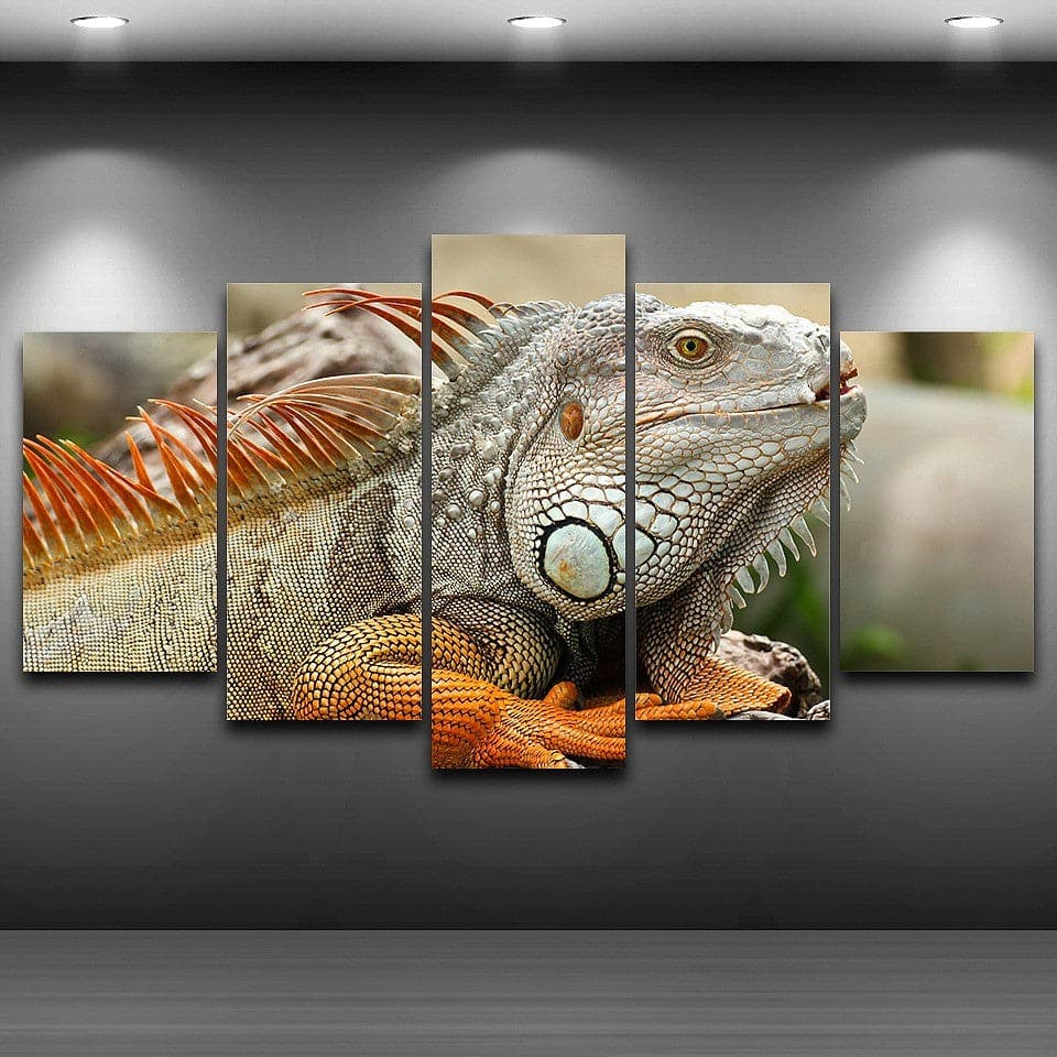 Framed 5 Panels - Lizard