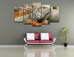 Framed 5 Panels - Lizard