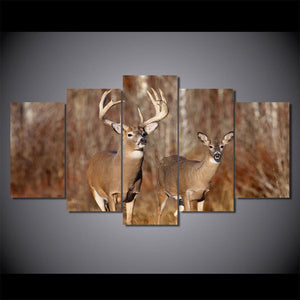 Framed 5 Panels - Deer