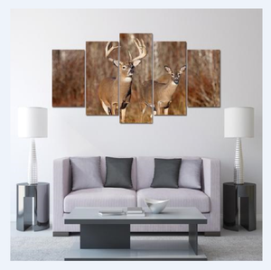 Framed 5 Panels - Deer