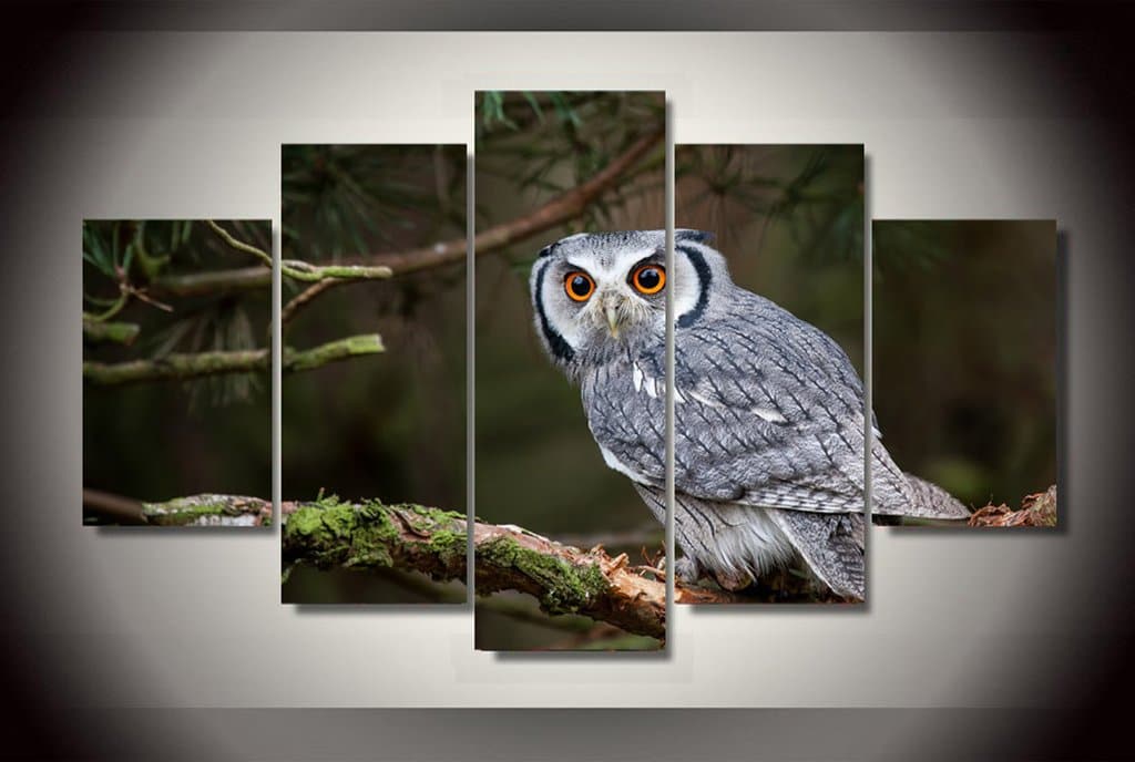 Framed 5 Panels - Owl