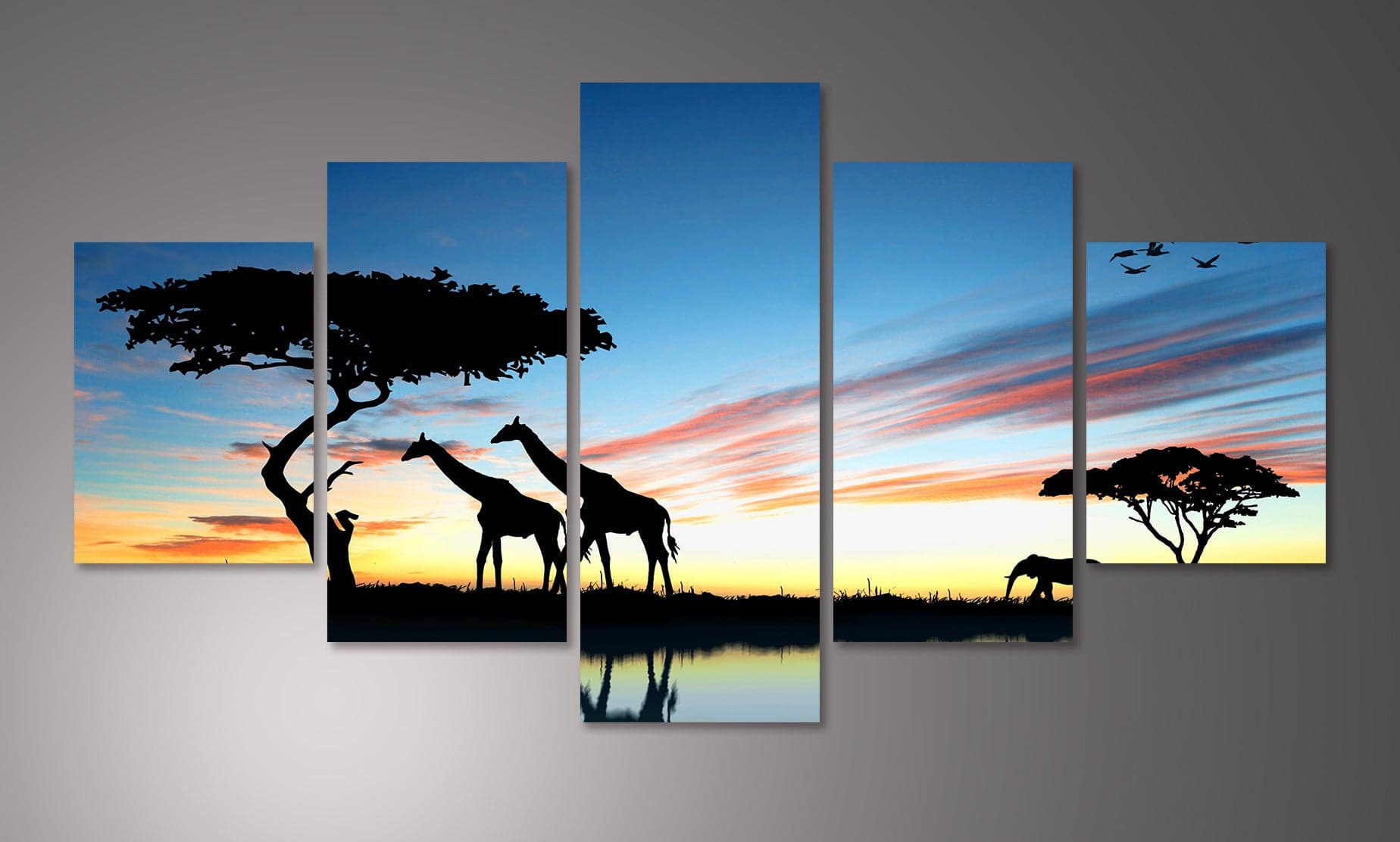 Framed 5 Panels - Africa