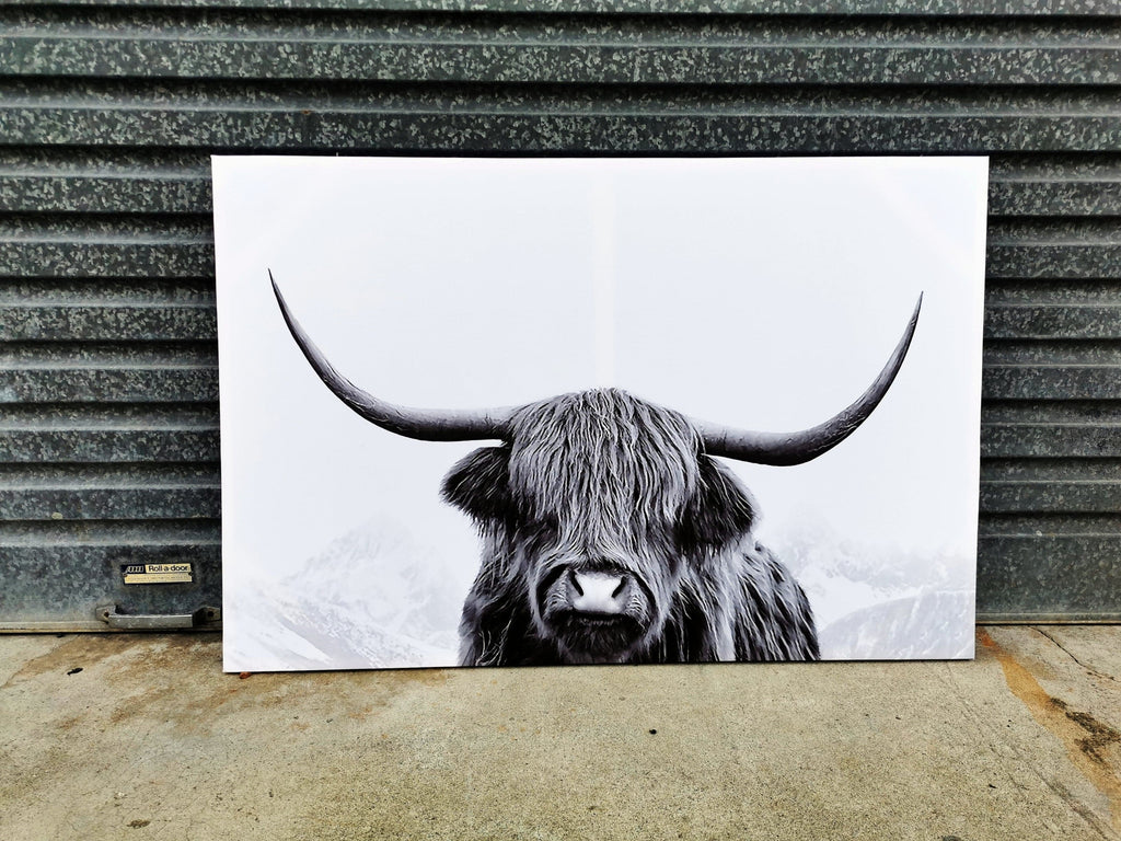 Framed 1 Panel - Finished Products - Highlander Cow