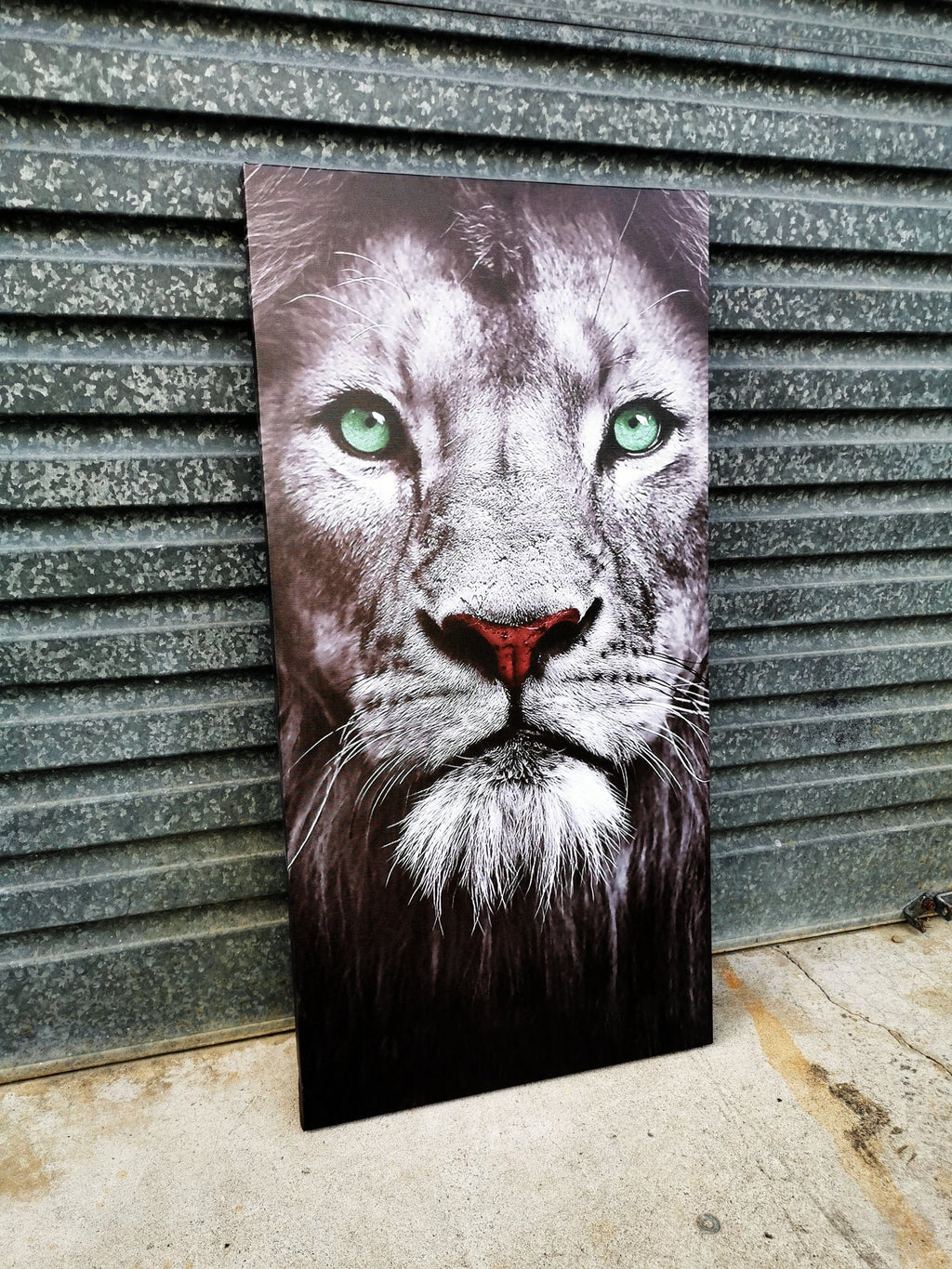 Framed 1 Panel - Finished Products - Lion