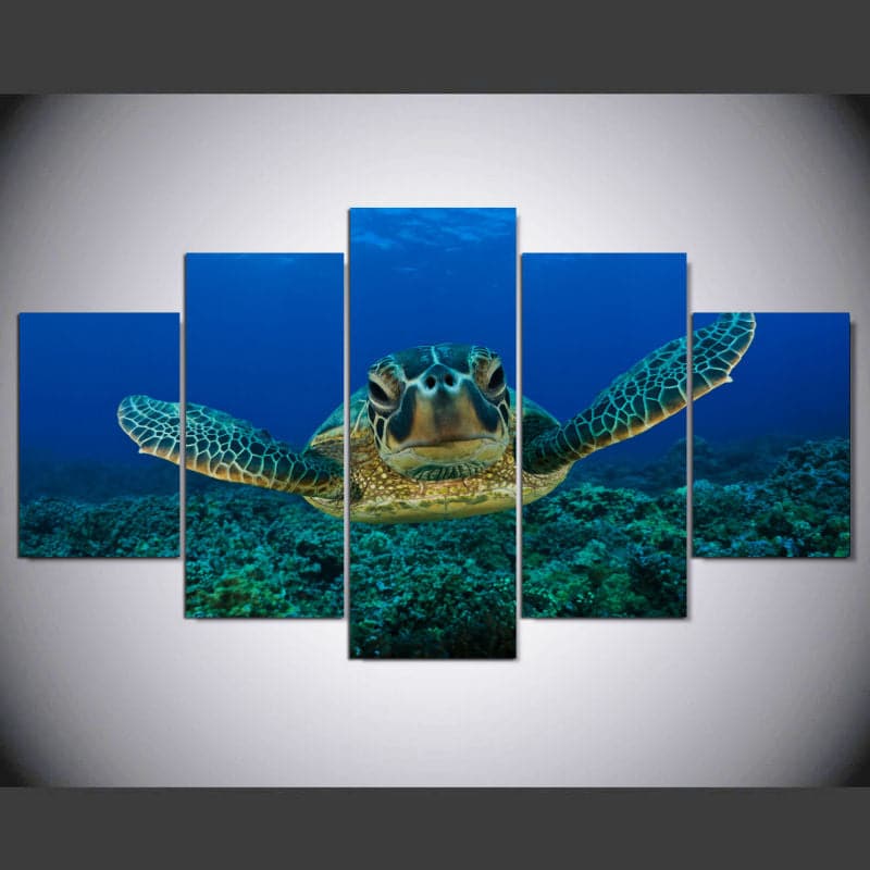 Framed 5 Panels - Sea Turtle