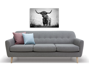 Framed 1 Panel - Highlander Cow