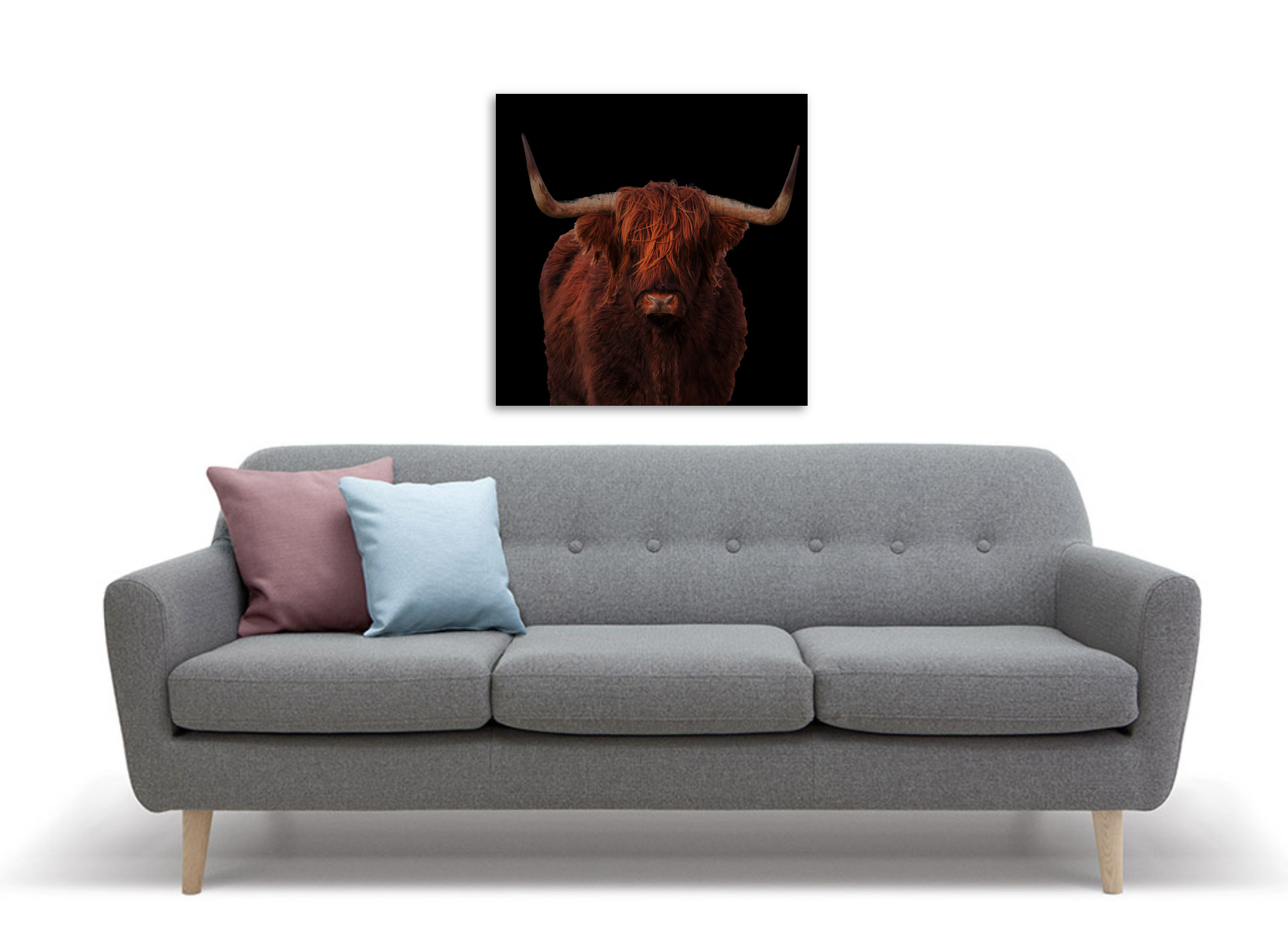 Framed 1 Panel - Highlander Cow