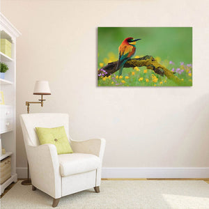 Framed 1 Panel - Bee Eater