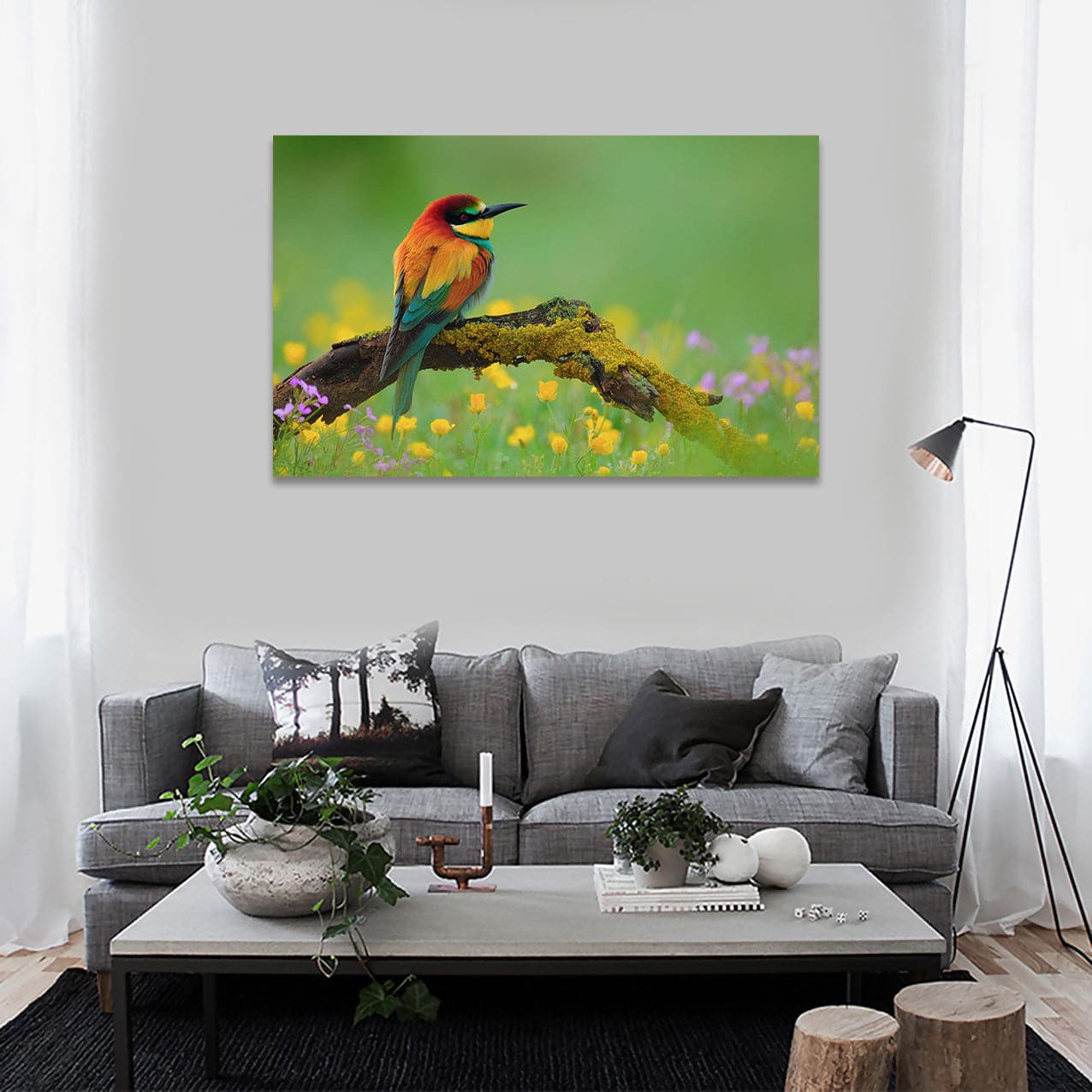 Framed 1 Panel - Bee Eater